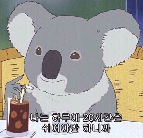 코알라, 여유