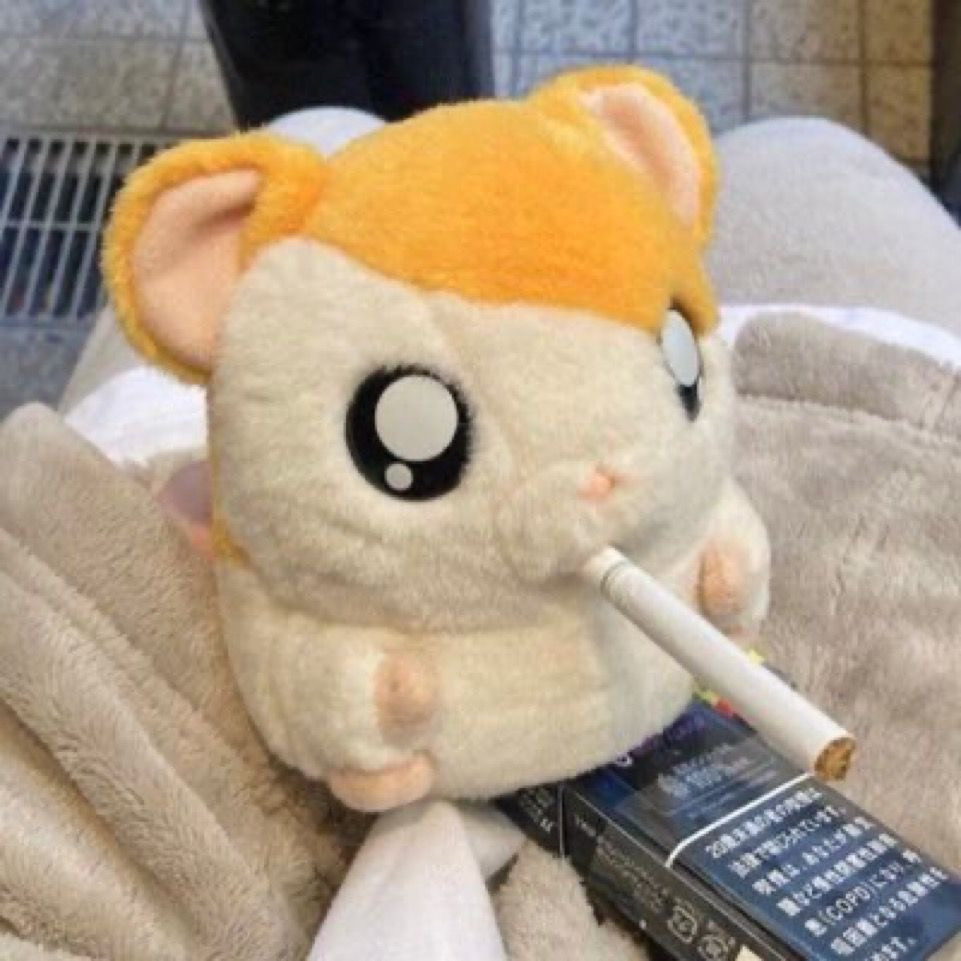 햄스터, 담배, 인생쓰다