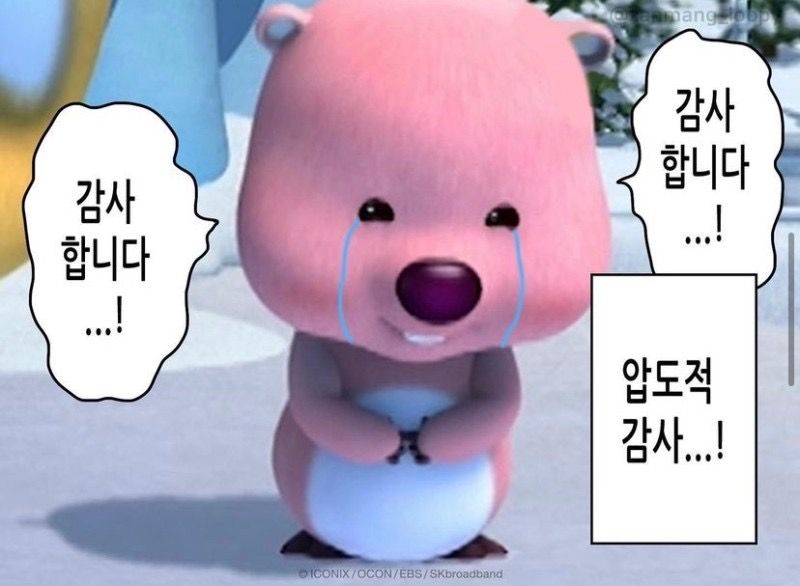 압도적감사, 감사, 루피